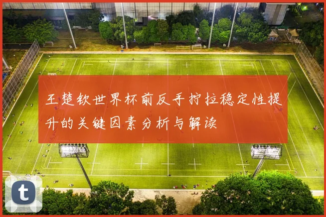 王楚钦世界杯前反手拧拉稳定性提升的关键因素分析与解读