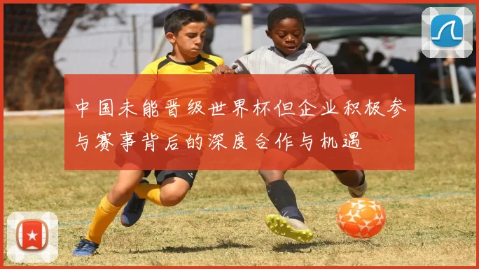 中国未能晋级世界杯但企业积极参与赛事背后的深度合作与机遇
